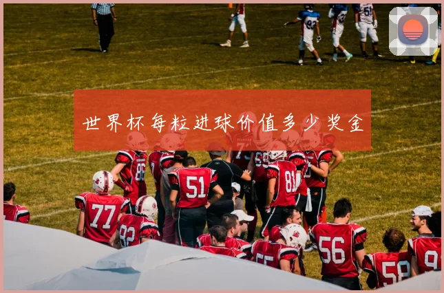 世界杯每粒进球价值多少奖金