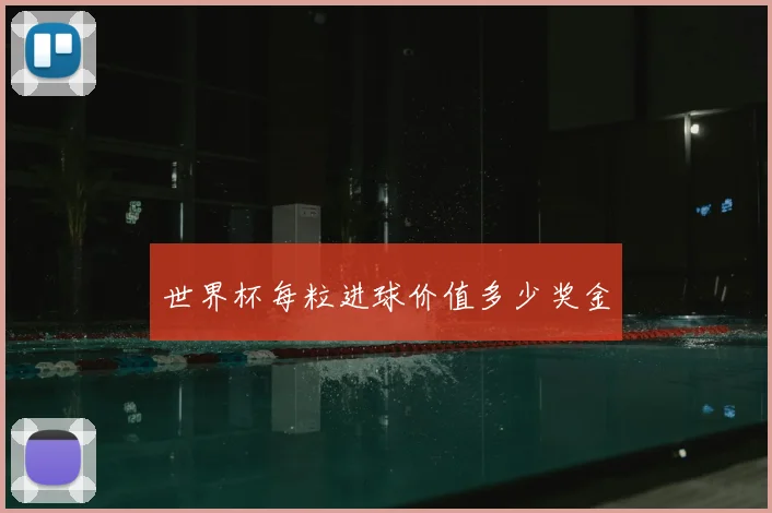 世界杯每粒进球价值多少奖金