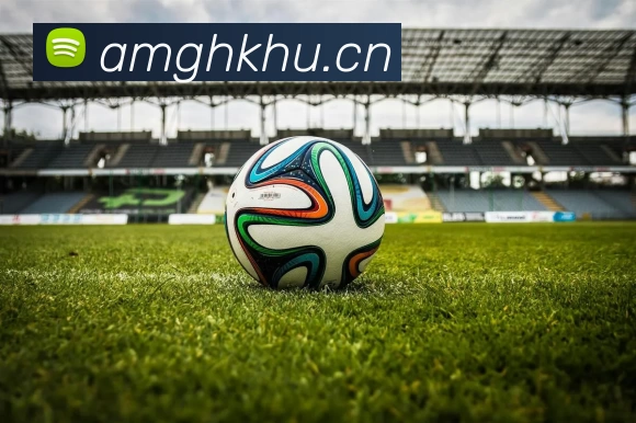 开云·kaiyun体育(中国)官方网站 - 登录入口APP 高清赛事图